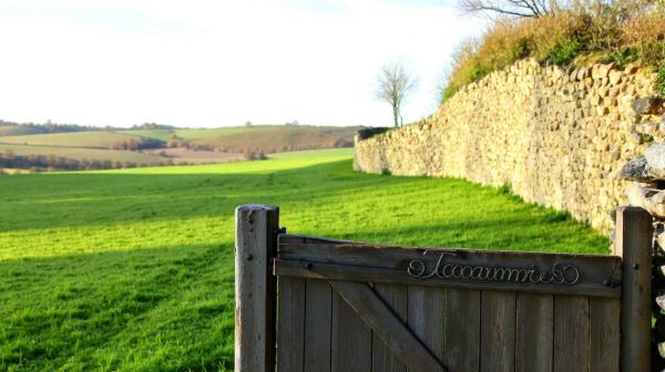 Guide des services incontournables d'un paysagiste à Châteauneuf-en-Thymerais
